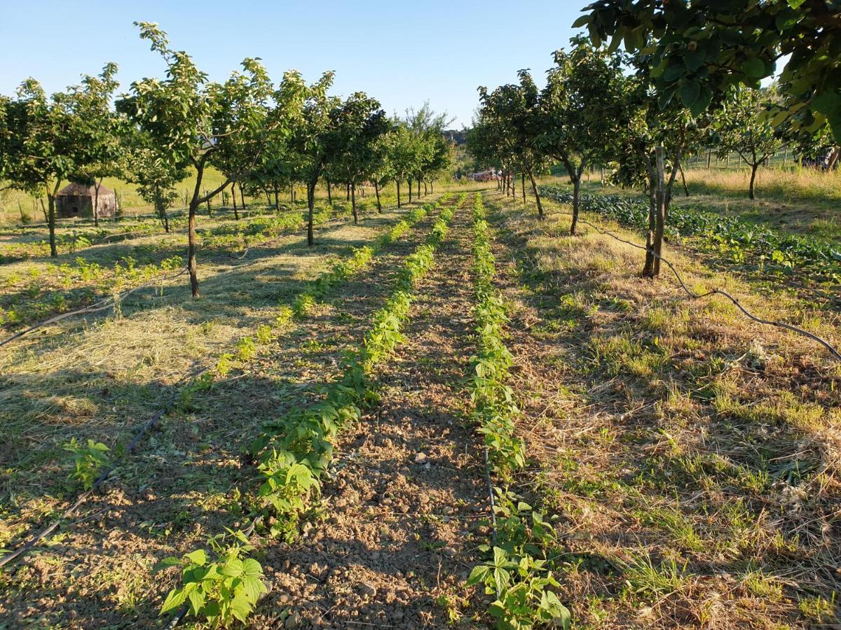Fattoria Di Maiano Pensionat Fiesole Exteriör bild