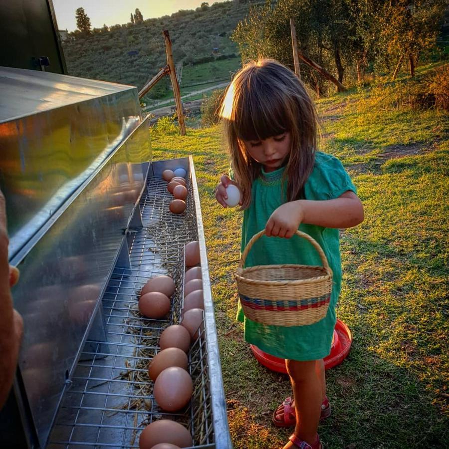 Fattoria Di Maiano Pensionat Fiesole Exteriör bild