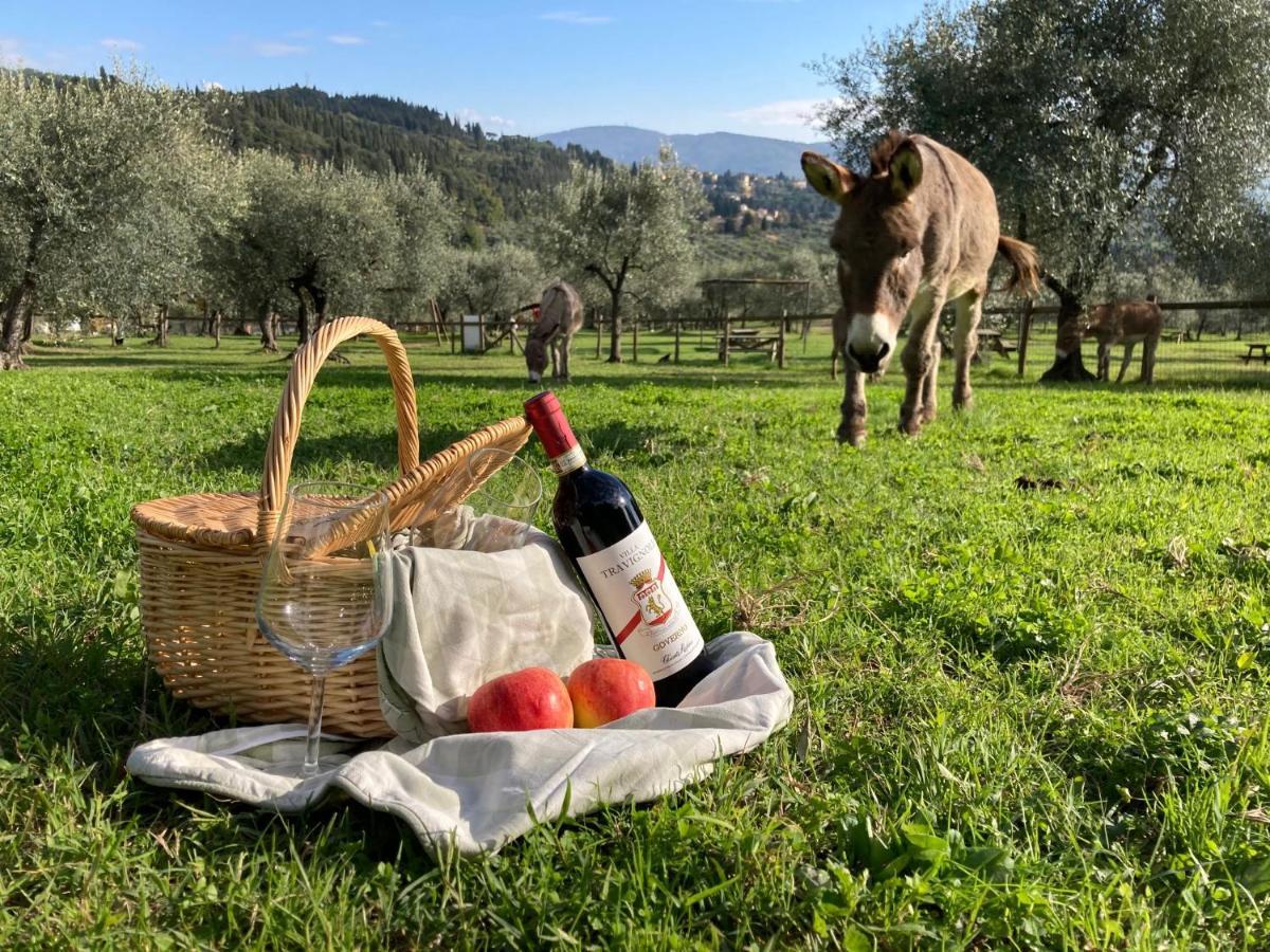 Fattoria Di Maiano Pensionat Fiesole Exteriör bild