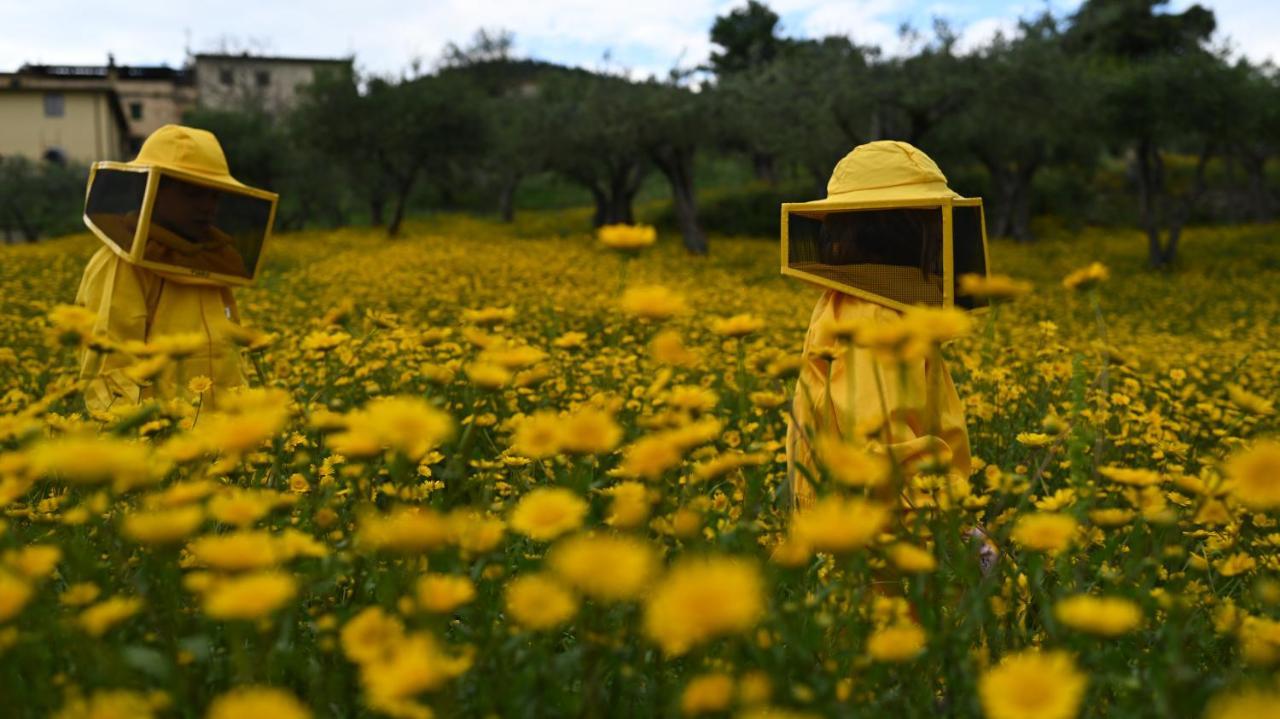 Fattoria Di Maiano Pensionat Fiesole Exteriör bild