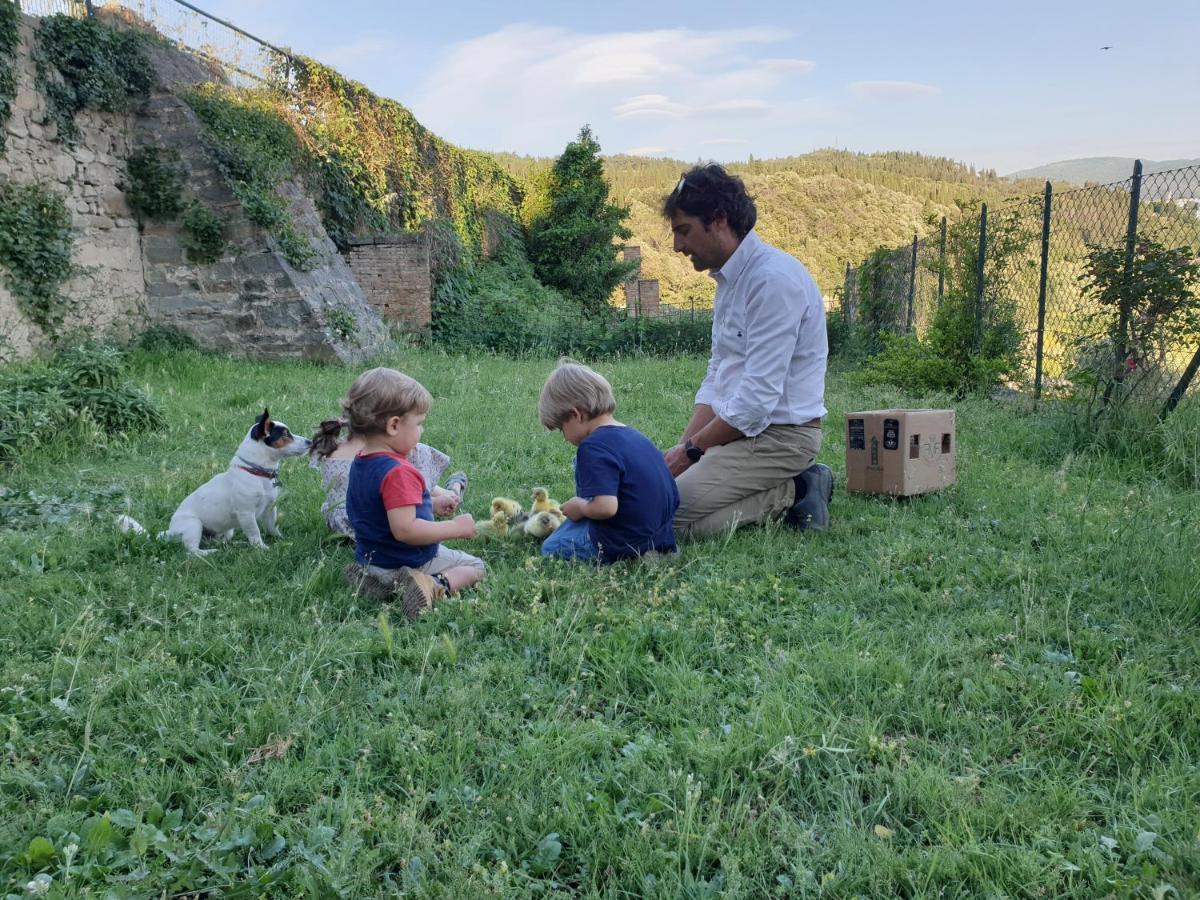 Fattoria Di Maiano Pensionat Fiesole Exteriör bild