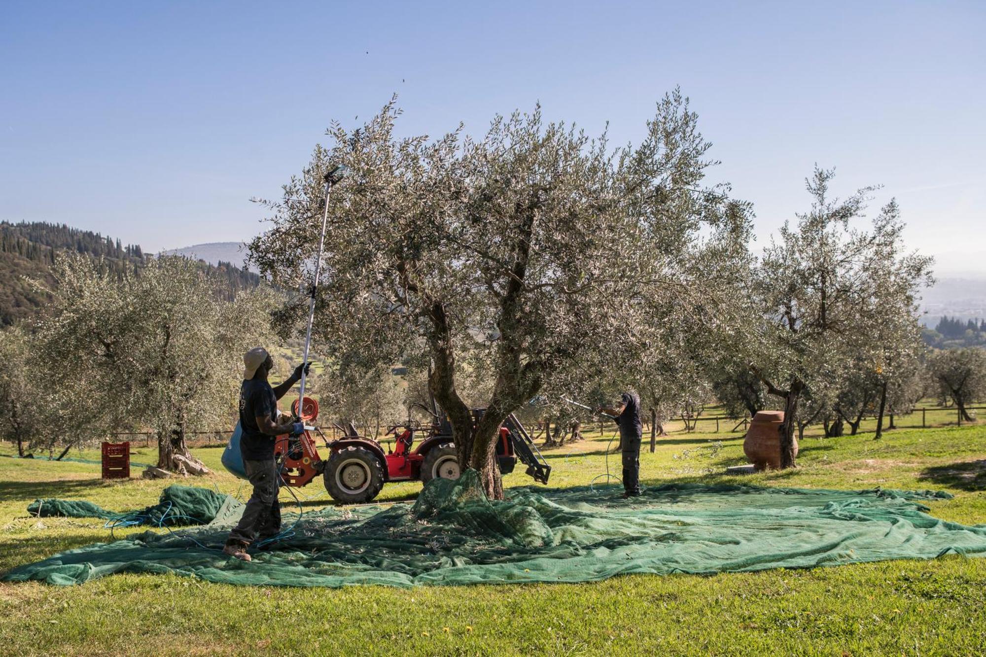 Fattoria Di Maiano Pensionat Fiesole Exteriör bild