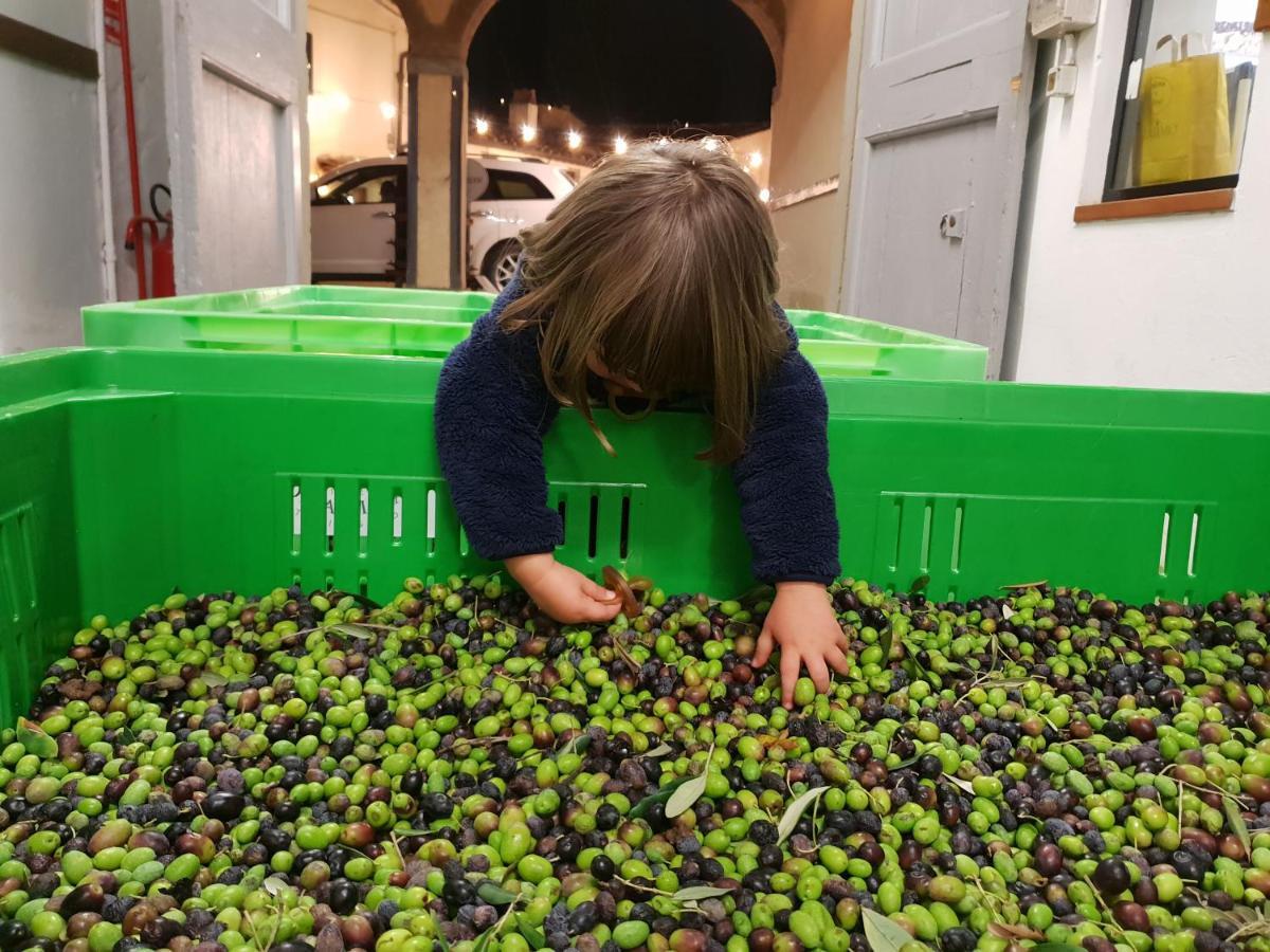 Fattoria Di Maiano Pensionat Fiesole Exteriör bild